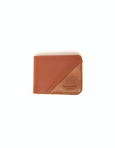 CARTERA CORTE
