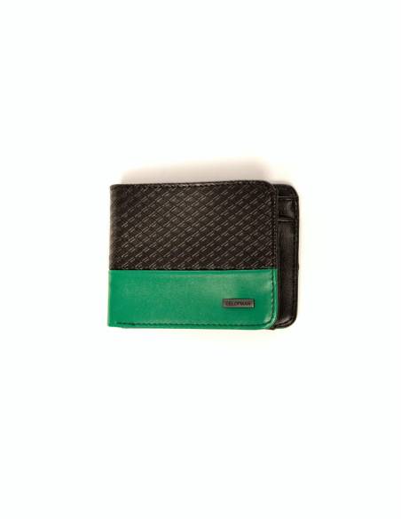 CARTERA ESTRUCTURA COMBINADA